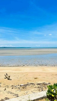 Picture of Beach lots- Quezon Province
