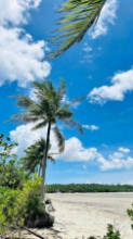 Picture of Beach lots- Quezon Province