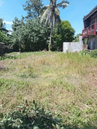 Picture of PRIME RESIDENTIAL / COMMERCIAL LOT FOR SALE