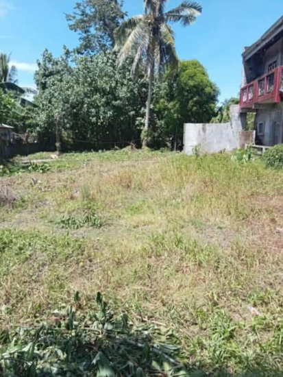Picture of PRIME RESIDENTIAL / COMMERCIAL LOT FOR SALE